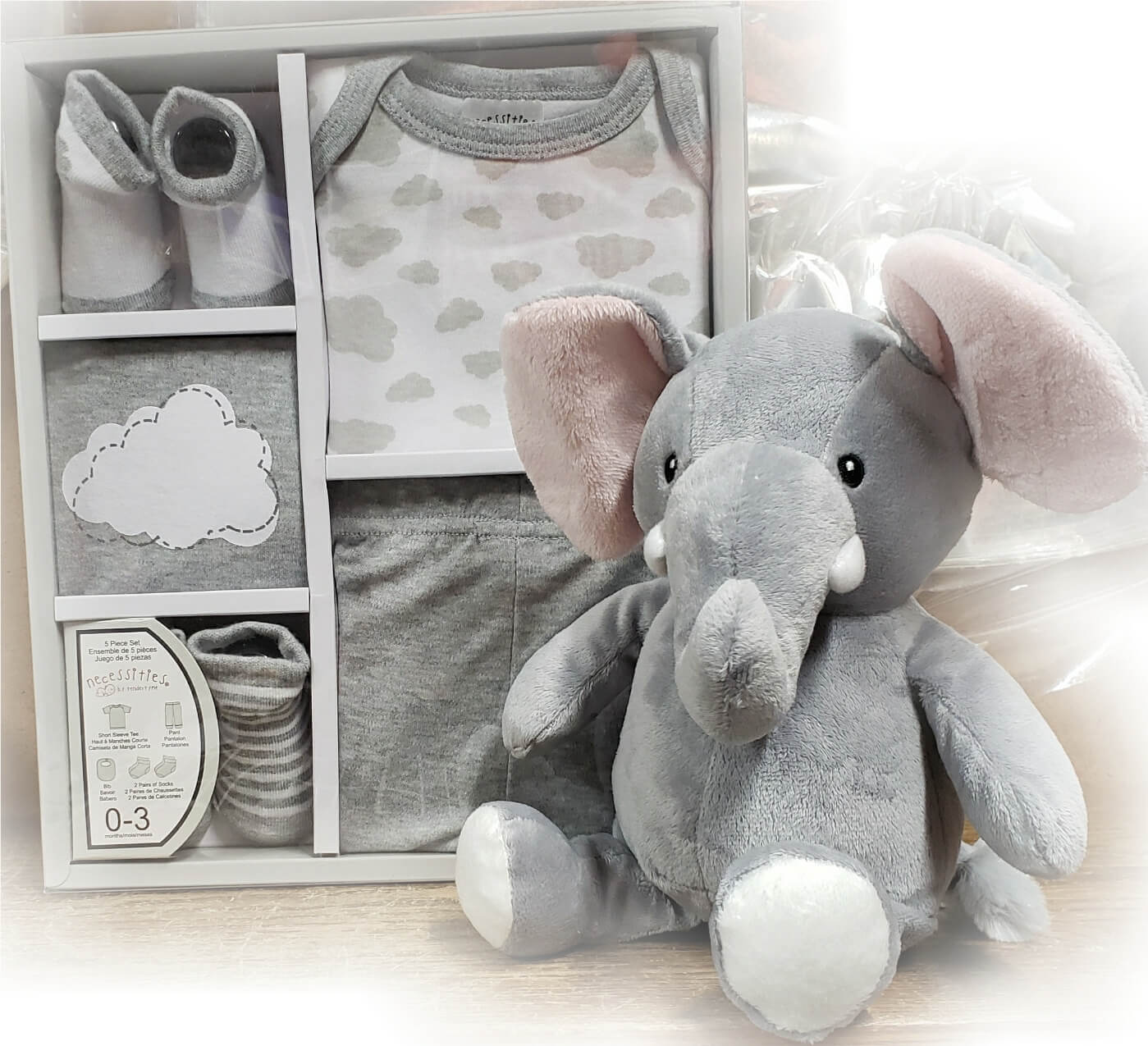 Lot De 11 Billets / Cartes Cadeaux – Thème Éléphant – En Boîte – Neuf